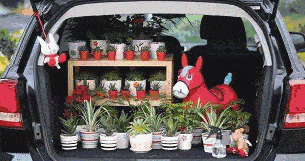 逛逛网红车尾箱集市吃瓜,吃瓜群众的美食盛宴 第1张 逛逛网红车尾箱集市吃瓜,吃瓜群众的美食盛宴 第1张