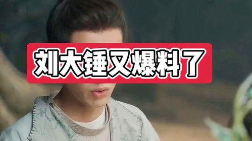 刘大锤最新爆料回归,神秘人物即将回归，娱乐圈风云再起！  第2张